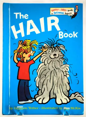 Cover of The Hair Book