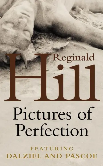 Cover of Pictures of Perfection