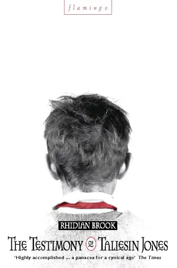 Cover of The Testimony of Taliesin Jones