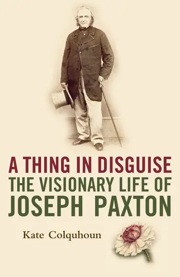 Cover of A Thing in Disguise