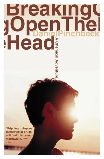 Cover of Breaking Open the Head