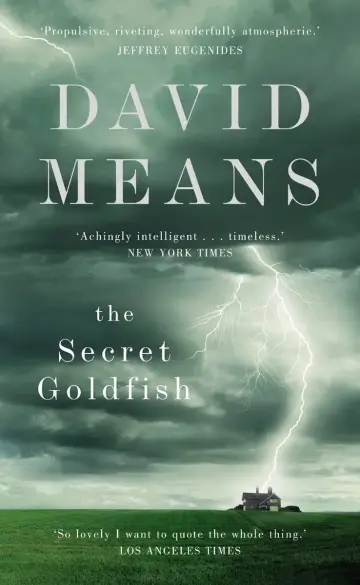 Cover of The Secret Goldfish