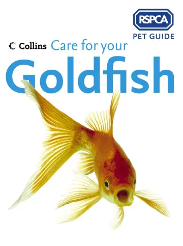 Cover of Care for Your Goldfish
