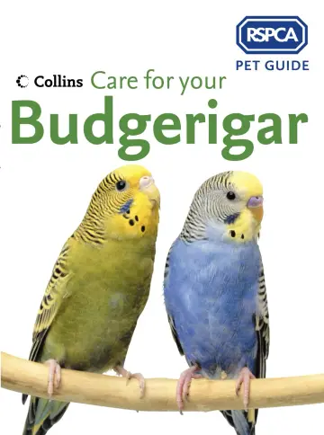 Cover of Care for Your Budgerigar