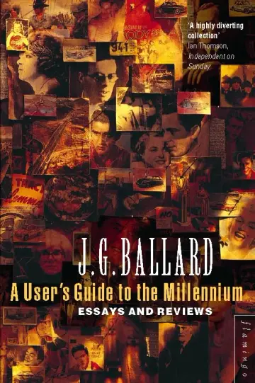 Cover of A User’s Guide to the Millennium