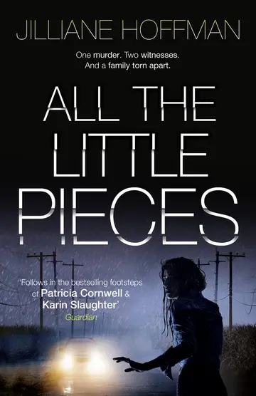 Cover of All the Little Pieces
