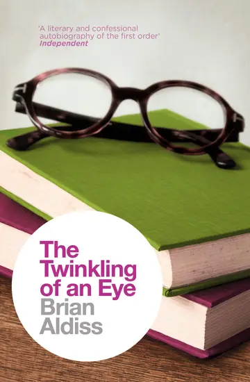 Cover of The Twinkling of an Eye