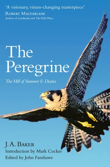 Cover of The Peregrine