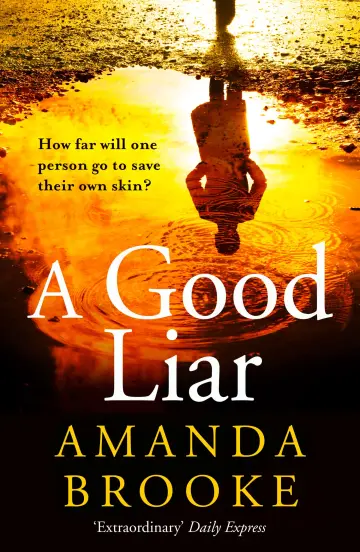 Cover of Good Liar