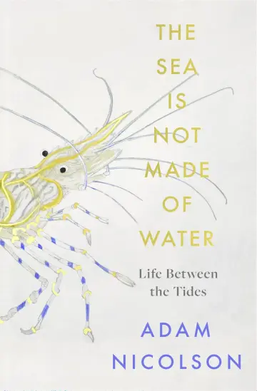Cover of The Sea is Not Made of Water