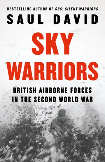 Cover of Sky Warriors