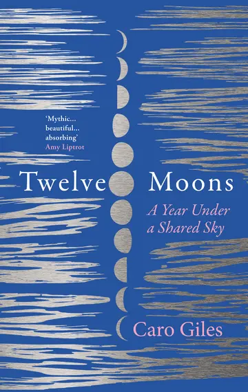 Cover of Twelve Moons