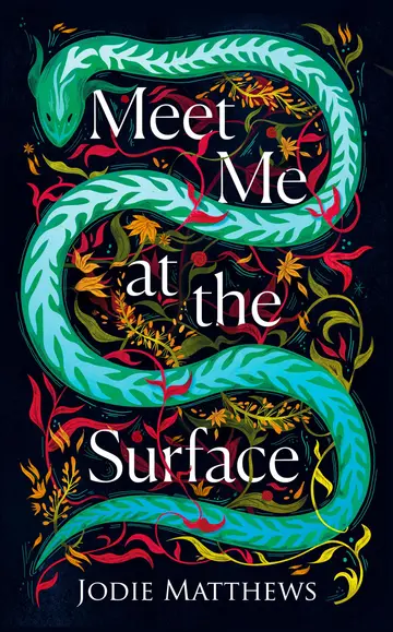 Cover of Meet Me at the Surface
