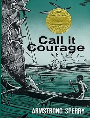 Cover of Call It Courage