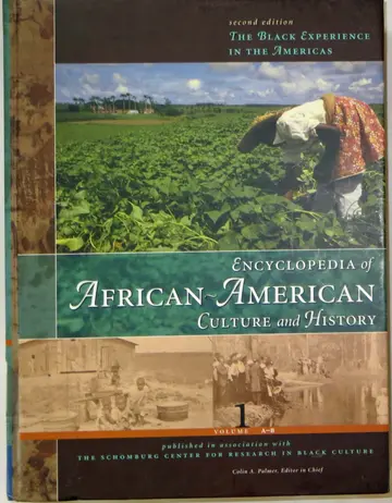Cover of Encyclopedia of African-American Culture and History