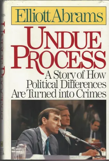 Cover of Undue Process A Story of How Political Differences Are Turned into Crimes