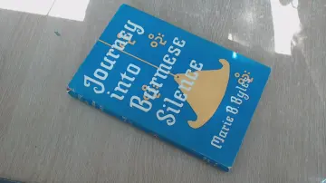 Cover of Journey into Burmese Silence