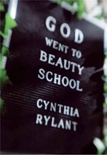 Cover of God Went to Beauty School
