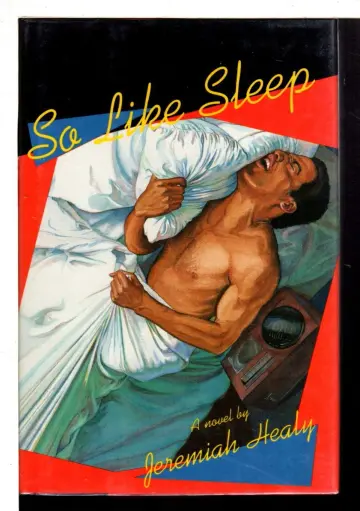 Cover of So Like Sleep