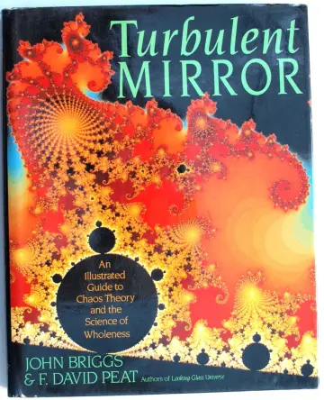 Cover of Turbulent mirror