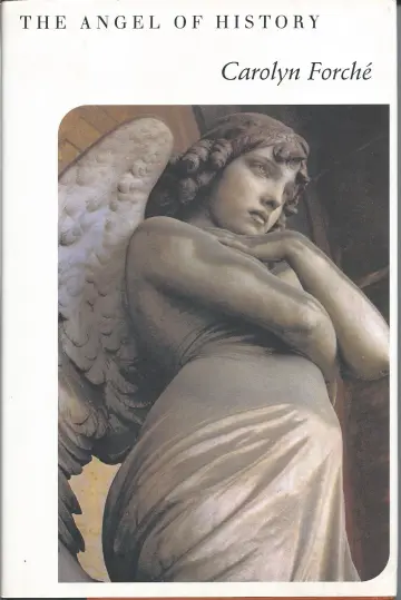 Cover of The Angel of History