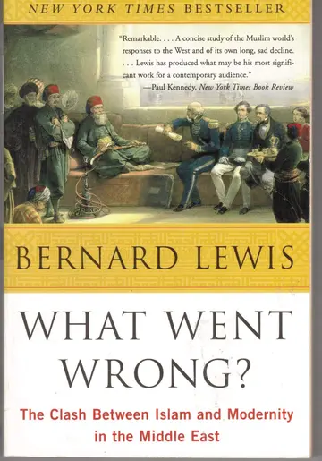 Cover of What Went Wrong?