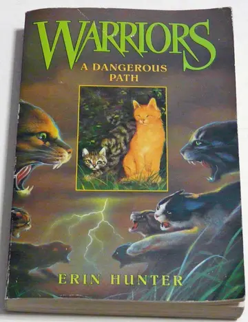 Cover of A Dangerous Path