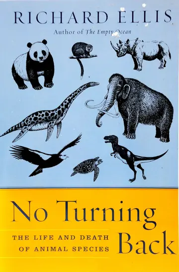 Cover of No Turning Back