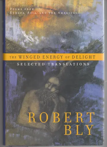 Cover of The Winged Energy of Delight