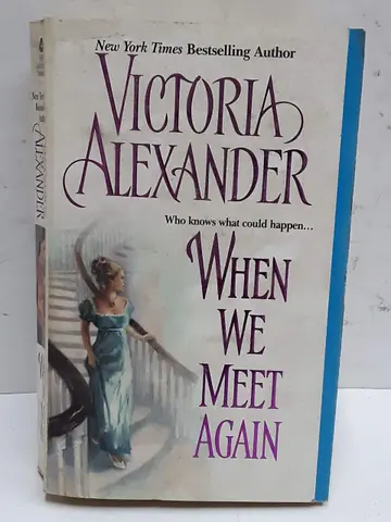 Cover of When We Meet Again