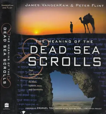 Cover of The Meaning of the Dead Sea Scrolls