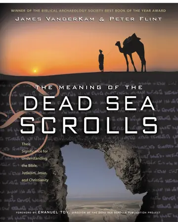 Cover of Meaning of the Dead Sea Scrolls