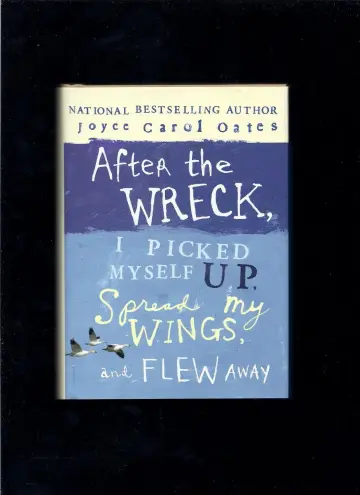 Cover of After the Wreck, I Picked Myself Up, Spread My Wings, and Flew Away