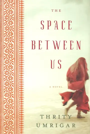Cover of The Space Between Us