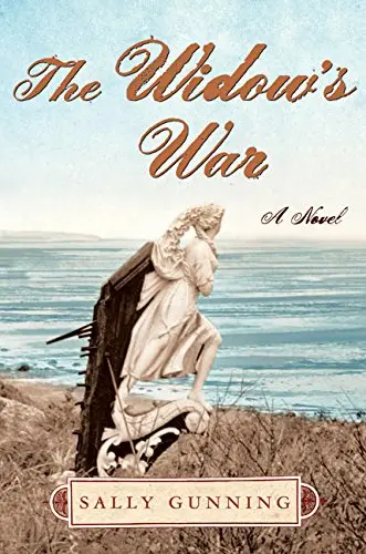 Cover of The Widow's War