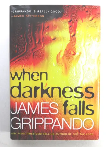 Cover of When Darkness Falls