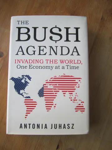 Cover of The Bush Agenda