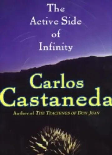 Cover of The Active Side of Infinity