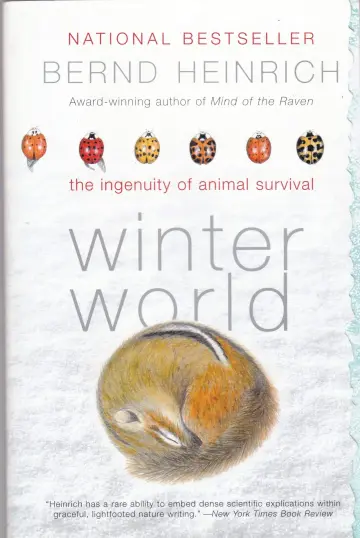 Cover of Winter World
