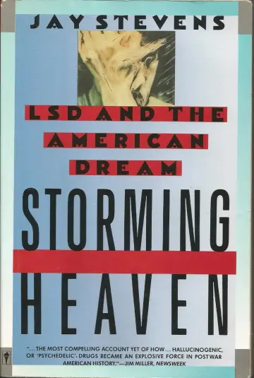 Cover of Storming Heaven