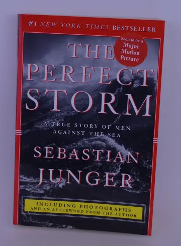 Cover of The Perfect Storm