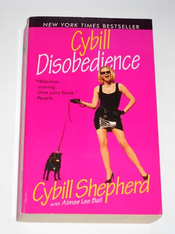 Cover of Cybill Disobedience