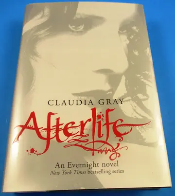 Cover of Afterlife