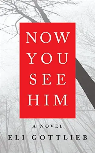 Cover of Now You See Him
