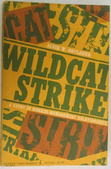 Cover of Wildcat Strike
