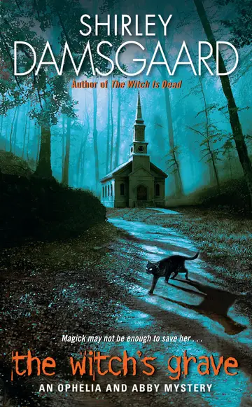 Cover of The Witch's Grave