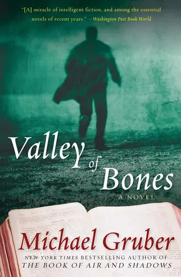 Cover of Valley of Bones