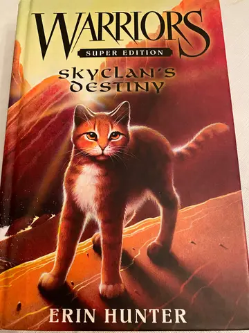 Cover of Skyclan's Destiny