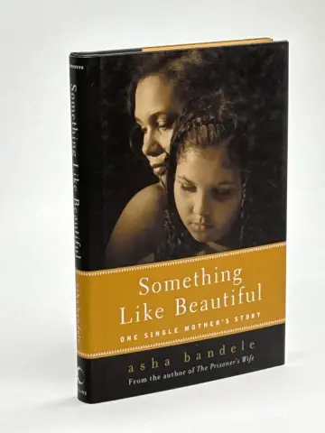 Cover of Something Like Beautiful