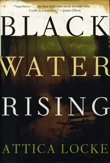 Cover of Black Water Rising
